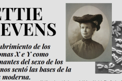 Imagen-1