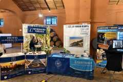 WhatsApp-Image-2026-04-17-at-11.50.52-1