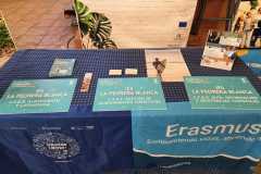 WhatsApp-Image-2026-04-17-at-11.50.52