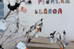 IMG_20221027_090407