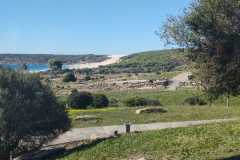 IMG-20240126-WA0031